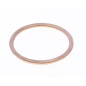 ATHENA USZCZELKA KOLEKTORA WYDECHOWEGO 36X42,2X2,6 MIEDZIANAKXF250 04-21, ZZR 1400 0617, GTR 1400 07-17 ATHENA USZCZELKA KOLEKTORA WYDECHOWEGO 36X42,2X2,6 MIEDZIANAKXF250 04-21, ZZR 1400 0617, GTR 1400 07-17