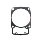 USZCZELKA CYLINDRA KYMCO MXU700
