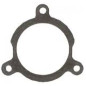 ATHENA USZCZELKA TŁUMIKA KTM 250/300/360/380 '93-'99 (47,7X61,15X1,35MM), OEM 54630046000 ATHENA USZCZELKA TŁUMIKA KTM 250/300/360/380 '93-'99 (47,7X61,15X1,35MM), OEM 54630046000