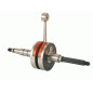 WAŁ KORBOWY RMS SUPER RACING 2T 50 CCM MINARELLI HORIZONTAL AOROX SR SONIC 10 MM