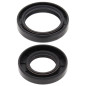 ALL BALLS USZCZELNIACZE WAŁU KORBOWEGO YAMAHA YZ125 86-00 ALL BALLS USZCZELNIACZE WAŁU KORBOWEGO YAMAHA YZ125 86-00