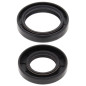 ALL BALLS USZCZELNIACZE WAŁU KORBOWEGO YAMAHA YZ125 86-00 ALL BALLS USZCZELNIACZE WAŁU KORBOWEGO YAMAHA YZ125 86-00