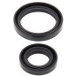 ALL BALLS USZCZELNIACZE WAŁU KORBOWEGO SUZUKI RM125 89-08, RM80 89-01, RM85 02-22, RM85L 03-16