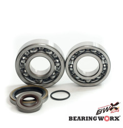 BEARING WORX ŁOŻYSKA WAŁU KORBOWEGO Z USZCZELANIACZAMI GAS GAS EC 200/250/300 '10- (NTN) (MADE IN JAPAN)