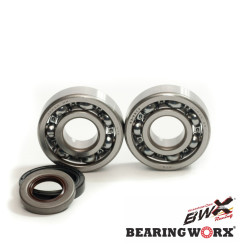 BEARING WORX ŁOŻYSKA WAŁU KORBOWEGO Z USZCZELNIACZAMI GAS GAS EC 125 '10- (NTN) (MADE IN JAPAN)