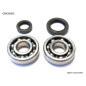 BEARING WORX ŁOŻYSKA WAŁU KORBOWEGO Z USZCZELNIACZAMI HONDA CR 125 79-07 (NTN) (MADE IN JAPAN) (24-1003)=CBK30010 BEARING WORX ŁOŻYSKA WAŁU KORBOWEGO Z USZCZELNIACZAMI HONDA CR 125 79-07 (NTN) (MADE IN JAPAN) (24-1003)=CBK30010