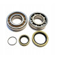 BEARING WORX ŁOŻYSKA WAŁU KORBOWEGO HONDA CR 250 '84-'91, CR 500 '84-01 (NTN) (MADE IN JAPAN) (24-1004) BEARING WORX ŁOŻYSKA WAŁU KORBOWEGO HONDA CR 250 '84-'91, CR 500 '84-01 (NTN) (MADE IN JAPAN) (24-1004)