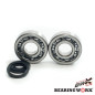 BEARING WORX ŁOŻYSKA WAŁU KORBOWEGO Z USZCZELNIACZAMI HUSQVARNA CR250 99-04, WR250 99-13, WR300 98-13 (NTN) BEARING WORX ŁOŻYSKA WAŁU KORBOWEGO Z USZCZELNIACZAMI HUSQVARNA CR250 99-04, WR250 99-13, WR300 98-13 (NTN)