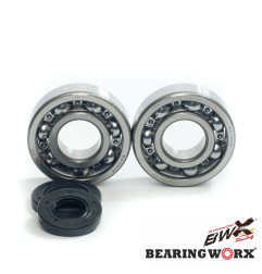 BEARING WORX ŁOŻYSKA WAŁU KORBOWEGO Z USZCZELNIACZAMI KAWASAKI KX 250 87-01 (NTN) (MADE IN JAPAN) (24-1010)