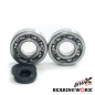 BEARING WORX ŁOŻYSKA WAŁU KORBOWEGO Z USZCZELNIACZAMI KAWASAKI KX 250 87-01 (NTN) (MADE IN JAPAN) (24-1010) BEARING WORX ŁOŻYSKA WAŁU KORBOWEGO Z USZCZELNIACZAMI KAWASAKI KX 250 87-01 (NTN) (MADE IN JAPAN) (24-1010)