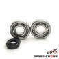 BEARING WORX ŁOŻYSKA WAŁU KORBOWEGO Z USZCZELNIACZAMI KAWASAKI KDX 200 '91-'06, KDX 220 '97-'05 (NTN) (MADE IN JAPAN)