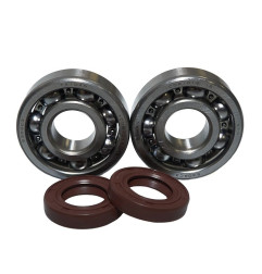 BEARING WORX ŁOŻYSKA WAŁU KORBOWEGO KTM SX 65 98-08 (NTN) (MADE IN JAPAN) (24-1102)