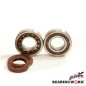 BEARING WORX ŁOŻYSKA WAŁU KORBOWEGO Z USZCZELANIACZAMI KTM SXF 250 13-15, SXF 350 11-15