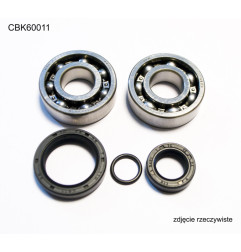 BEARING WORX ŁOŻYSKA WAŁU KORBOWEGO KTM SX 50 10-12, SX50 MINI 09-15 (NTN) (MADE IN JAPAN) (24-1099)