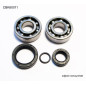BEARING WORX ŁOŻYSKA WAŁU KORBOWEGO KTM SX 50 10-12, SX50 MINI 09-15 (NTN) (MADE IN JAPAN) (24-1099) BEARING WORX ŁOŻYSKA WAŁU KORBOWEGO KTM SX 50 10-12, SX50 MINI 09-15 (NTN) (MADE IN JAPAN) (24-1099)