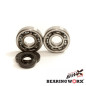 BEARING WORX ŁOŻYSKA WAŁU KORBOWEGO Z USZCZELNIACZAMI KTM SX 65 09-26, (NTN) (MADE IN JAPAN) (24-1103) BEARING WORX ŁOŻYSKA WAŁU KORBOWEGO Z USZCZELNIACZAMI KTM SX 65 09-26, (NTN) (MADE IN JAPAN) (24-1103)