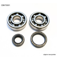 BEARING WORX ŁOŻYSKA WAŁU KORBOWEGO SUZUKI RM 80/85 89-23, (NTN) (MADE IN JAPAN) (24-1014)