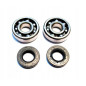 BEARING WORX ŁOŻYSKA WAŁU KORBOWEGO SHERCO ENDURO 4.5I '04-'13, SEF 450R '15-'16, ENDURO 5.1I '04-'13 BEARING WORX ŁOŻYSKA WAŁU KORBOWEGO SHERCO ENDURO 4.5I '04-'13, SEF 450R '15-'16, ENDURO 5.1I '04-'13