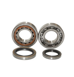 BEARING WORX ŁOŻYSKA WAŁU KORBOWEGO SHERCO SE-R 250 2T 14-16, SE-R 300 2T 14-16 (NTN) (MADE IN JAPAN)