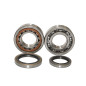 BEARING WORX ŁOŻYSKA WAŁU KORBOWEGO SHERCO SE-R 250 2T 14-16, SE-R 300 2T 14-16 (NTN) (MADE IN JAPAN) BEARING WORX ŁOŻYSKA WAŁU KORBOWEGO SHERCO SE-R 250 2T 14-16, SE-R 300 2T 14-16 (NTN) (MADE IN JAPAN)