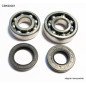 BEARING WORX ŁOŻYSKA WAŁU KORBOWEGO Z USZCZELNIACZAMI YAMAHA YZ 80/85 93-18 (NTN) (MADE IN JAPAN) (24-1023)