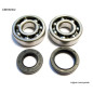 BEARING WORX ŁOŻYSKA WAŁU KORBOWEGO Z USZCZELNIACZAMI YAMAHA YZ 125 86-00 (NTN) (MADE IN JAPAN), 24-1024