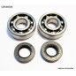 BEARING WORX ŁOŻYSKA WAŁU KORBOWEGO YAMAHA YZ 125 '05-'25, (NTN) (MADE IN JAPAN) (24-1062)