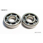 BEARING WORX ŁOŻYSKA WAŁU KORBOWEGO HONDA XR250R '84-'96, TRX250X '87-'92, SUZUKI DRZ250 '01-'07