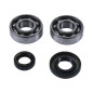 HOT RODS ŁOŻYSKA WAŁU KORBOWEGO KTM SX 50 04-08 HOT RODS ŁOŻYSKA WAŁU KORBOWEGO KTM SX 50 04-08