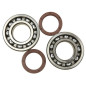 HOT RODS ŁOŻYSKA WAŁU KORBOWEGO KTM SXF 450 13-15, EXC 500 12-16