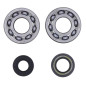ATHENA ŁOŻYSKA WAŁU KORBOWEGO Z USZCZELNIACZAMI KAWASAKI KDX 250 D1-D4 91-94 (KOYO) ATHENA ŁOŻYSKA WAŁU KORBOWEGO Z USZCZELNIACZAMI KAWASAKI KDX 250 D1-D4 91-94 (KOYO)