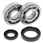 ALL BALLS ŁOŻYSKA WAŁU KORBOWEGO Z USZCZELNIACZAMI Yamaha WR250 91-97, YZ250 88-97, KOYO ALL BALLS ŁOŻYSKA WAŁU KORBOWEGO Z USZCZELNIACZAMI Yamaha WR250 91-97, YZ250 88-97, KOYO