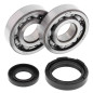 ALL BALLS ŁOŻYSKA WAŁU KORBOWEGO Z USZCZELNIACZAMI Yamaha WR250 91-97, YZ250 88-97, KOYO ALL BALLS ŁOŻYSKA WAŁU KORBOWEGO Z USZCZELNIACZAMI Yamaha WR250 91-97, YZ250 88-97, KOYO
