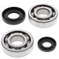 ALL BALLS ŁOŻYSKA WAŁU KORBOWEGO Z USZCZELNIACZAMI Yamaha YZ250 01-25, YZ250X 16-25, KOYO ALL BALLS ŁOŻYSKA WAŁU KORBOWEGO Z USZCZELNIACZAMI Yamaha YZ250 01-25, YZ250X 16-25, KOYO