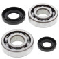 ALL BALLS ŁOŻYSKA WAŁU KORBOWEGO Z USZCZELNIACZAMI Yamaha YZ250 01-25, YZ250X 16-25, KOYO ALL BALLS ŁOŻYSKA WAŁU KORBOWEGO Z USZCZELNIACZAMI Yamaha YZ250 01-25, YZ250X 16-25, KOYO