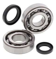 ALL BALLS ŁOŻYSKA WAŁU KORBOWEGO Z USZCZELNIACZAMI SUZUKI LT-500R 87-90