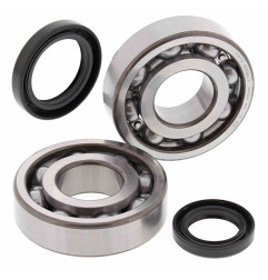 ALL BALLS ŁOŻYSKA WAŁU KORBOWEGO Z USZCZELNIACZAMI SUZUKI LT-500R 87-90
