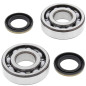 ALL BALLS ŁOŻYSKA WAŁU KORBOWEGO Z USZCZELNIACZAMI KAWASAKI KDX 200/220, KOYO ALL BALLS ŁOŻYSKA WAŁU KORBOWEGO Z USZCZELNIACZAMI KAWASAKI KDX 200/220, KOYO