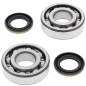 ALL BALLS ŁOŻYSKA WAŁU KORBOWEGO Z USZCZELNIACZAMI KAWASAKI KDX 200/220, KOYO ALL BALLS ŁOŻYSKA WAŁU KORBOWEGO Z USZCZELNIACZAMI KAWASAKI KDX 200/220, KOYO