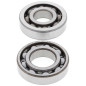ALL BALLS ŁOŻYSKA WAŁU KORBOWEGO HONDA CRF 230F '03-'19, CRF 150F '03-'05, CTX 200 '02-'11