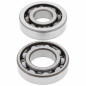 ALL BALLS ŁOŻYSKA WAŁU KORBOWEGO HONDA CRF 230F '03-'19, CRF 150F '03-'05, CTX 200 '02-'11