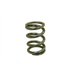 PSYCHIC SPRĘŻYNA ZAWORU WYDECHOWEGO KTM SXF 250 '08-'12, EXCF 250 08-13 (MX-09551ES)