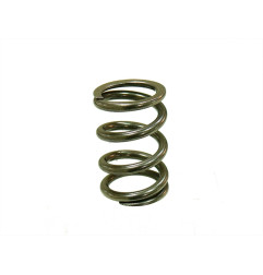 PSYCHIC SPRĘŻYNA ZAWORU WYDECHOWEGO KTM SXF 250 '08-'12, EXCF 250 08-13 (MX-09551ES)