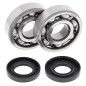 ALL BALLS ŁOŻYSKA WAŁU KORBOWEGO Z USZCZELNIACZAMI Yamaha YZ125 05-26, YZ125X 20-26, KOYO ALL BALLS ŁOŻYSKA WAŁU KORBOWEGO Z USZCZELNIACZAMI Yamaha YZ125 05-26, YZ125X 20-26, KOYO