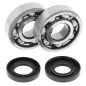 ALL BALLS ŁOŻYSKA WAŁU KORBOWEGO Z USZCZELNIACZAMI Yamaha YZ125 05-26, YZ125X 20-26, KOYO ALL BALLS ŁOŻYSKA WAŁU KORBOWEGO Z USZCZELNIACZAMI Yamaha YZ125 05-26, YZ125X 20-26, KOYO
