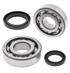 ALL BALLS ŁOŻYSKA WAŁU KORBOWEGO Z USZCZELNIACZAMI SUZUKI RMX 250 '89-'94 - WYCOFANE Z OFERTY