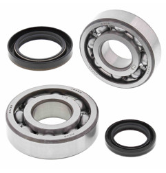 ALL BALLS ŁOŻYSKA WAŁU KORBOWEGO Z USZCZELNIACZAMI SUZUKI RMX 250 '89-'94 - WYCOFANE Z OFERTY