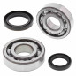 ALL BALLS ŁOŻYSKA WAŁU KORBOWEGO Z USZCZELNIACZAMI SUZUKI RMX 250 '89-'94 - WYCOFANE Z OFERTY