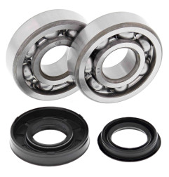 ALL BALLS ŁOŻYSKA WAŁU KORBOWEGO Z USZCZELNIACZAMI POLARIS SPORTSMAN 90 07-10