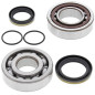 ALL BALLS ŁOŻYSKA WAŁU KORBOWEGO Z USZCZELNIACZAMI KTM SX/EXC 125/144/150/200, HUSQVARNA TC125 (14) ALL BALLS ŁOŻYSKA WAŁU KORBOWEGO Z USZCZELNIACZAMI KTM SX/EXC 125/144/150/200, HUSQVARNA TC125 (14)